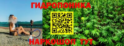 индика Белореченск