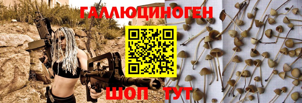 Псилоцибиновые грибы мухоморы Баксан